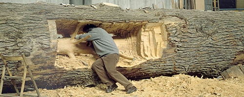 giuseppepenone