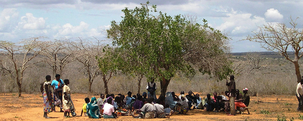 _under the tree_blog