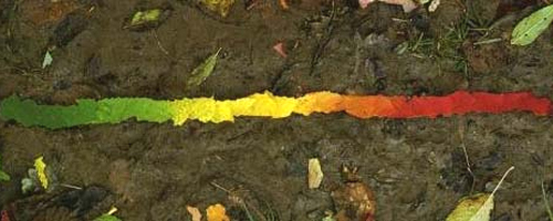 goldsworthy_leaves