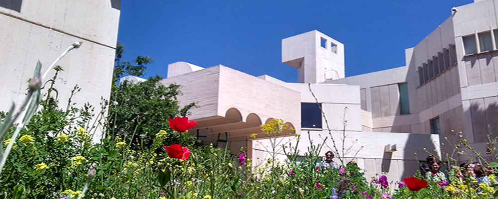 Tallers d’estiu a la Fundació Joan Miró
