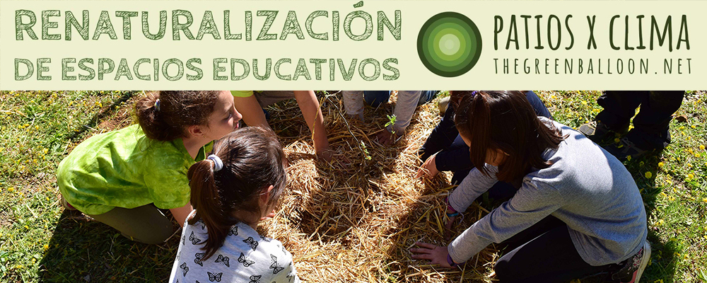 Programa Patios x Clima en Sevilla