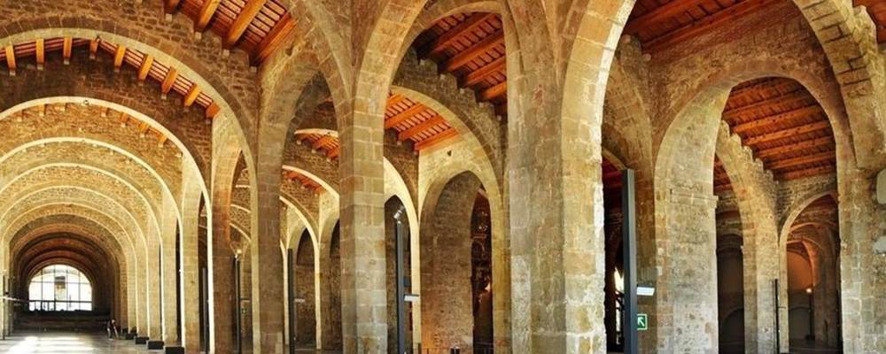 Nova visita!: “Història viva de les Drassanes Reials”